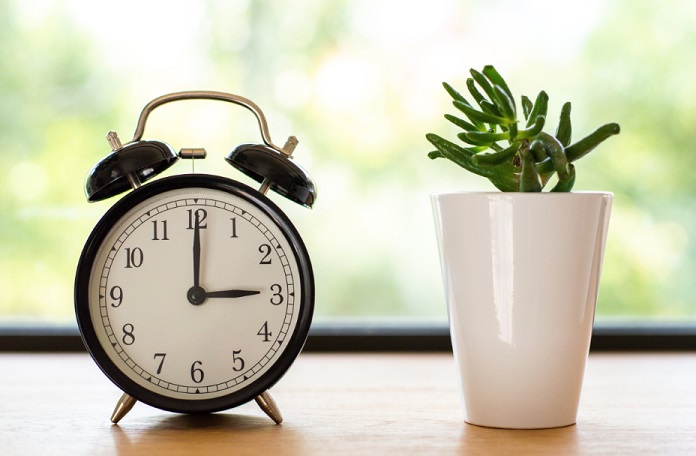 sexologue-orleans-horloge-cactus